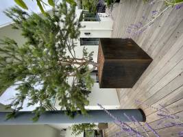 Nicola ALEXANDRE - ADN AGENCEUR DECORATEUR NICOLA